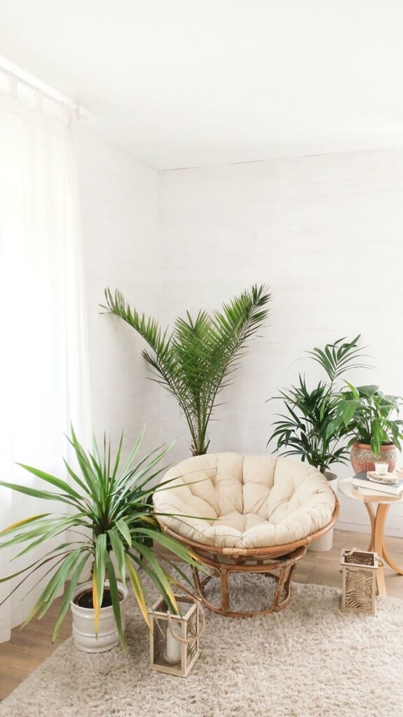 Picture-of-Fresh-flowers-that-blooms-for-spring-home-decor-ideas