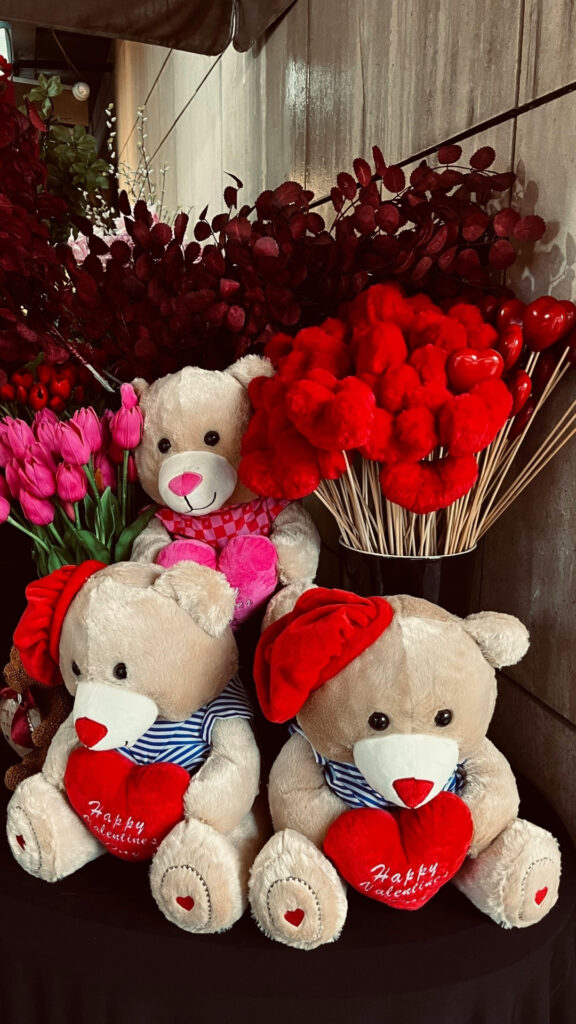 Red-teddy-bear-