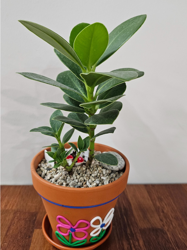 Cute-Floral-Painted-Terracotta-Pots