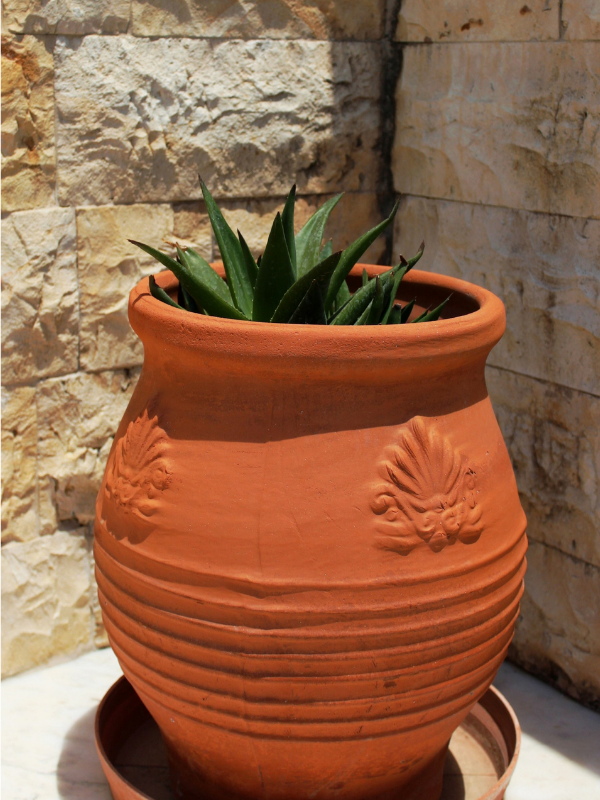 Fruit-terracotta-pots