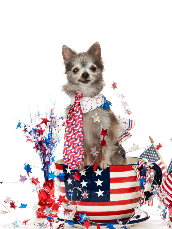 Nostalgic-Vintage-Americana