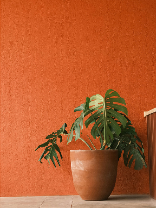 Terracotta-pot-painting-showing-a-clay-pot-close-to-wall