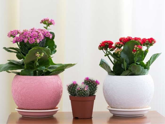 Featured-Image-Of-Diy-Dollar-Tree-Home-Decor-Ideas-That-Look-High-End-showing-DIY-flowers-On-the-table
