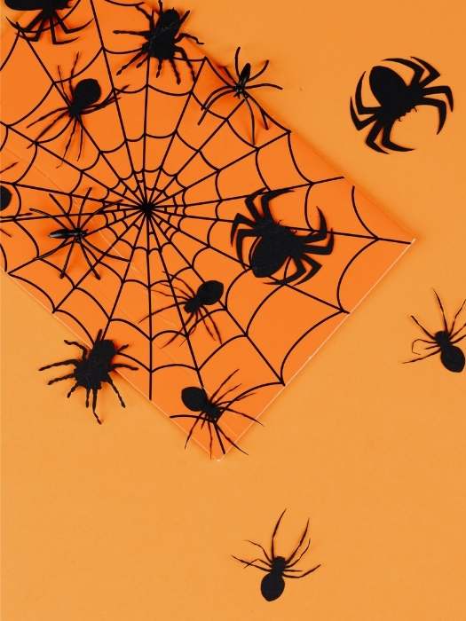 Halloween-Paper-Plate-Spider-Web-Craft-for-Easy Halloween Crafts for Preschoolers to Make at Home