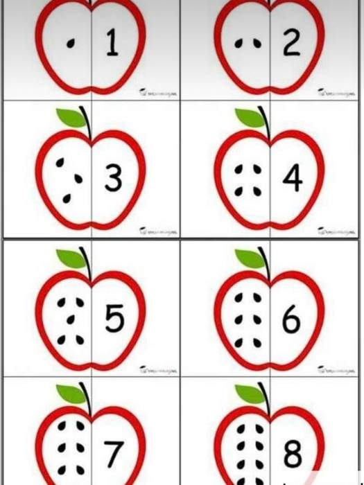Apple-Seed-Counting-Craft
