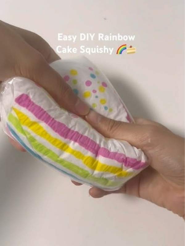 An-image-of-
DIY-Rainbow-Squishy