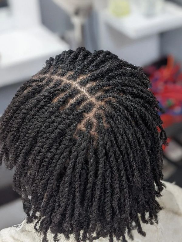 Starter Locs