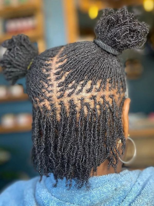 Starter-Locs